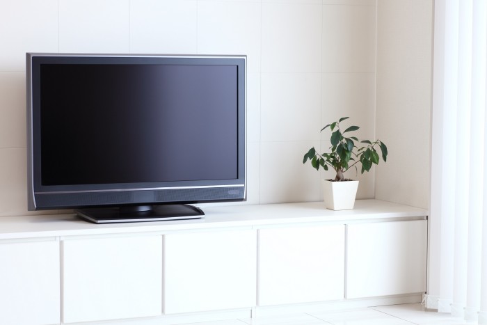 テレビは子どもの教育・成長に良くないの?
