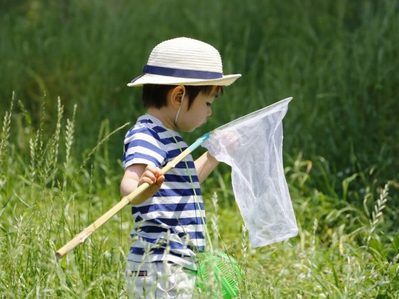 命を大切にする子に育てる、幼児期からの心の育み方