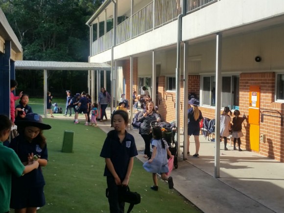 能力に応じた区別化は差別じゃない!豊富な選択肢を持つオーストラリアの小学校事情