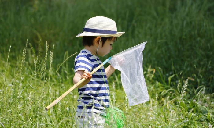 命を大切にする子に育てる、幼児期からの心の育み方