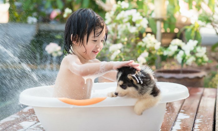 ペットにできて、親にできていないことがある!?「ペットを飼いたい！」の子どもの心理とは？