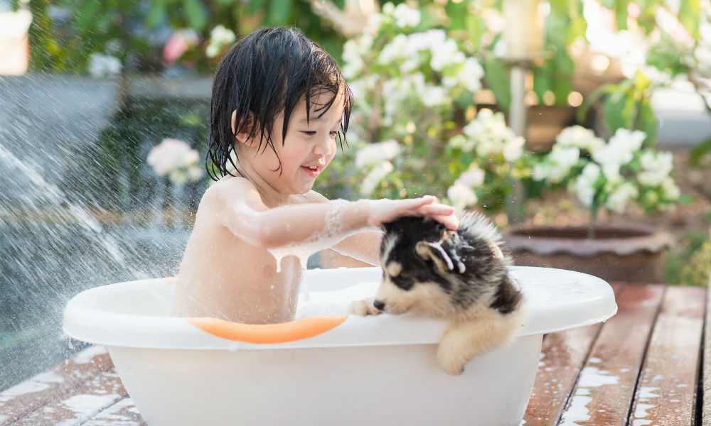 ペットにできて 親にできていないことがある ペットを飼いたい の子どもの心理とは Shinga Farm ペットにできて 親にできていないことがある ペットを飼いたい の子どもの心理とは Shinga Farm