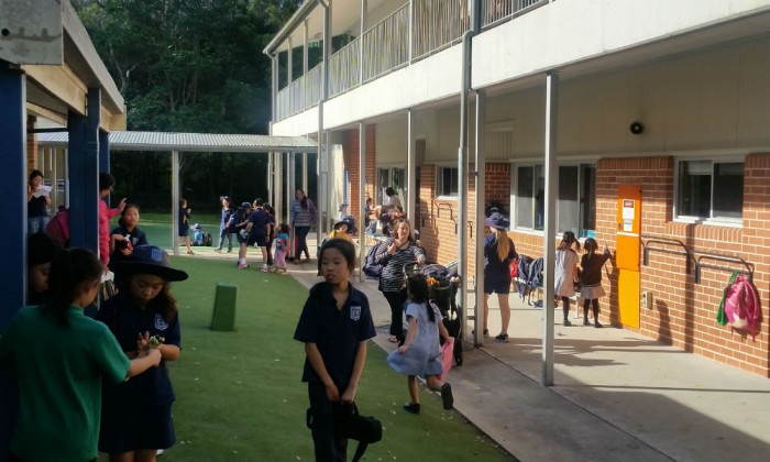 能力に応じた区別化は差別じゃない！豊富な選択肢を持つオーストラリアの小学校事情