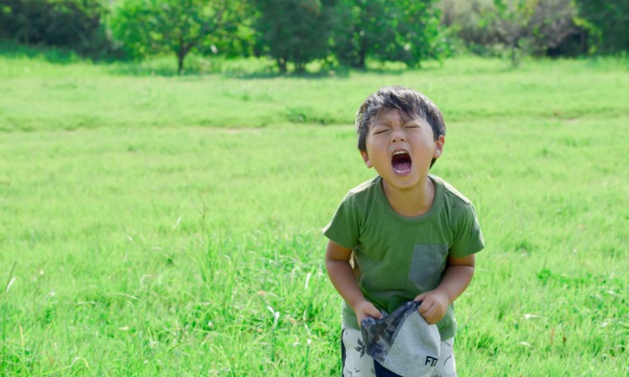 4歳ママ必読 こんな行動が理解できない に心理学で答えます Shinga Farm