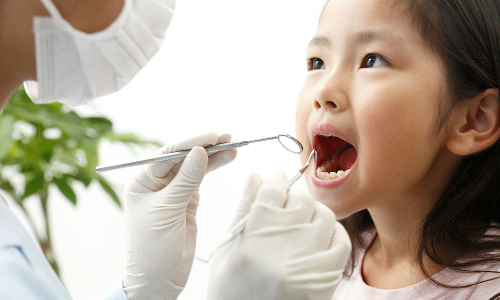 歯磨き 虫歯 口呼吸 小児歯科医に聞いたママが知っておくべき子どもの歯のこと Shinga Farm