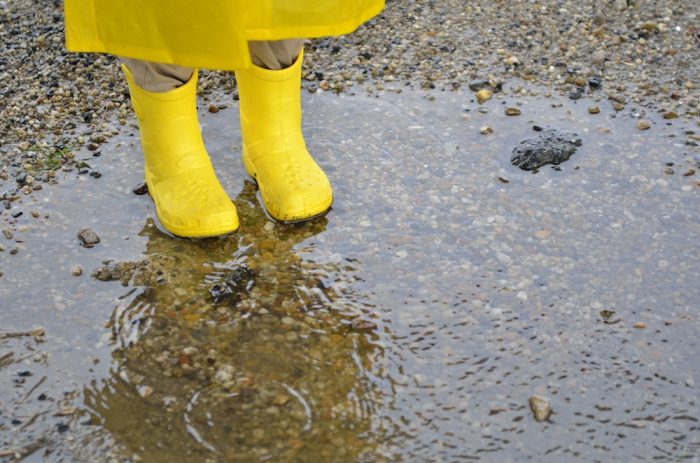 梅雨の時期は学びのチャンスがいっぱい！