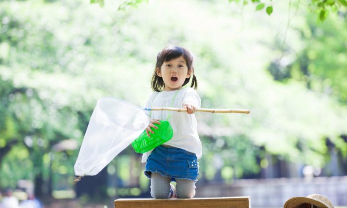 小学校受験合格のカギは非認知能力にあり！伸芽会式 非認知能力とは？