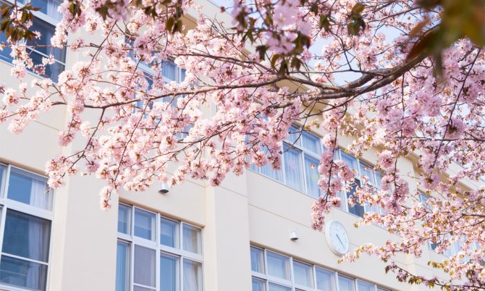 【ゼロから始める小学校受験】第5回　 失敗しない学校選び「共学・男女別学・宗教系」のメリット・デメリットを知ろう