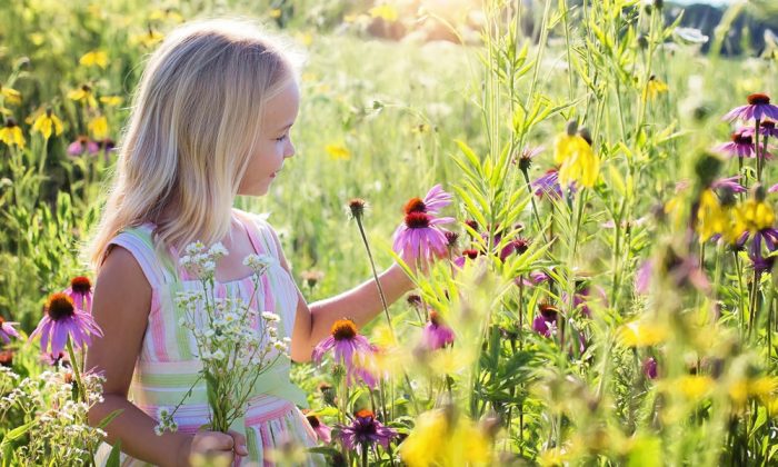 幼児の頃から環境問題の大切さを学ぶ。英国の「持続可能な開発のための教育（ESD）」とは？