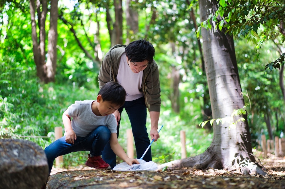 夏ならではの体験も学びにつなげられる